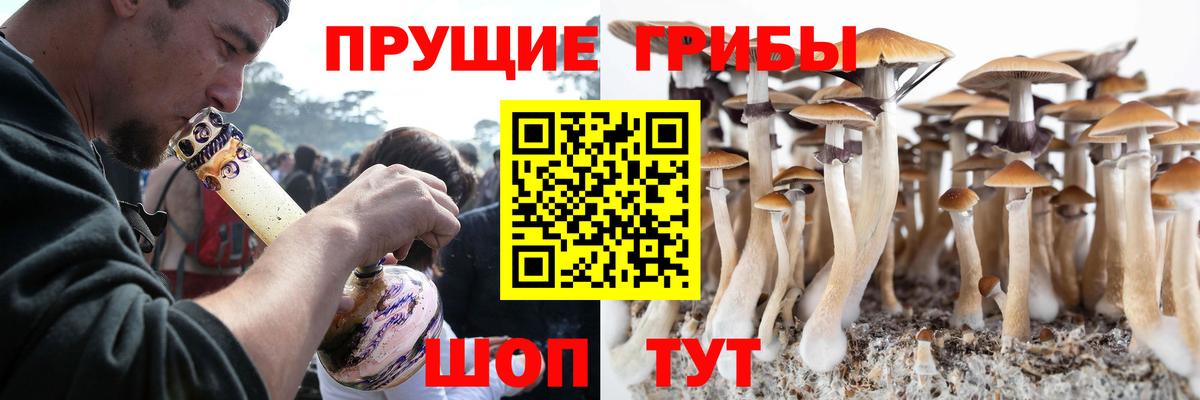 Галлюциногенные грибы прущие грибы Кушва